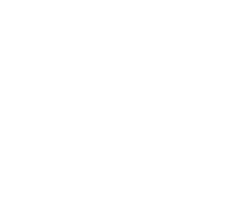 Wwise-Logo-2016-Certified_user_201_R-White